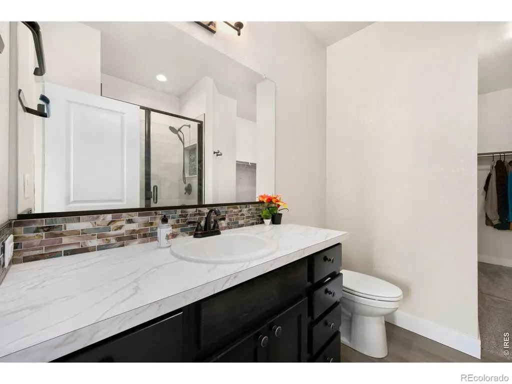 3289 Da Vinci Drive Loveland CO 80538