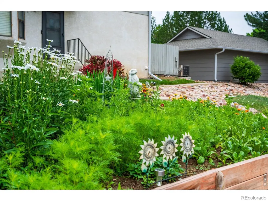 2243 Emery Street Longmont CO 80501