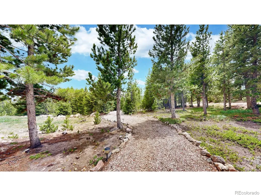 388 Shasta Way Red Feather Lakes CO 80545