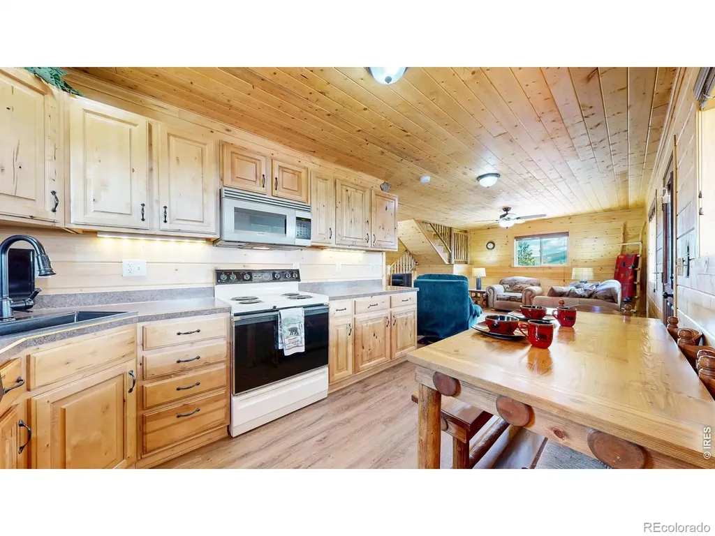 388 Shasta Way Red Feather Lakes CO 80545