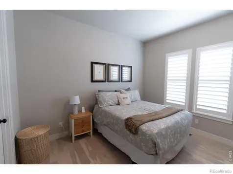 6242 Vernazza Way Windsor CO 80550
