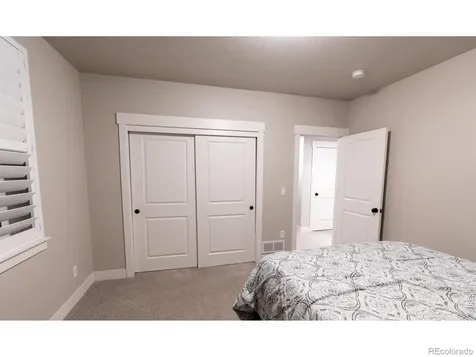 6242 Vernazza Way Windsor CO 80550