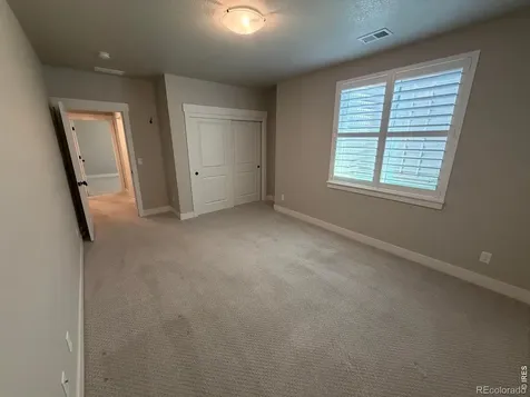 6242 Vernazza Way Windsor CO 80550
