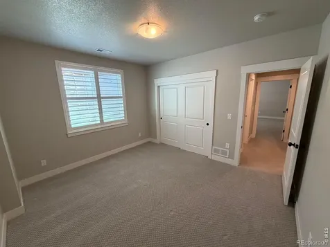6242 Vernazza Way Windsor CO 80550