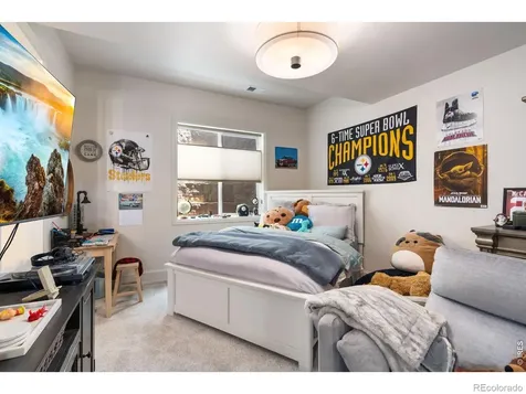 951 Warbling Drive Windsor CO 80550