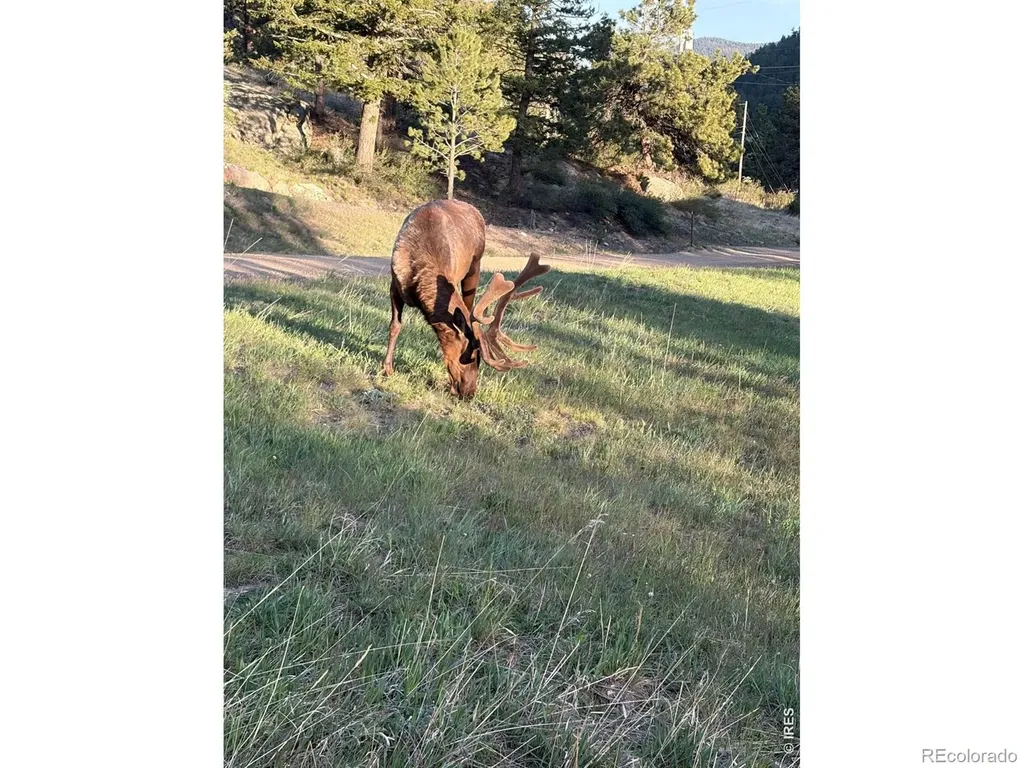 408 Meadowview Drive Estes Park CO 80517