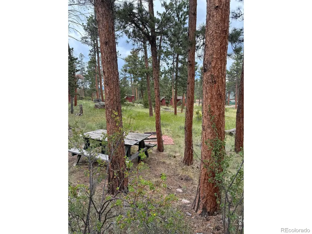 79 Alpine Lane Red Feather Lakes CO 80545