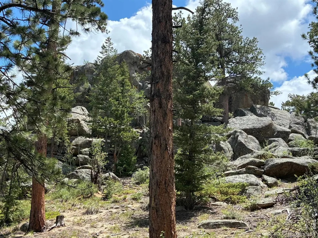 79 Alpine Lane Red Feather Lakes CO 80545