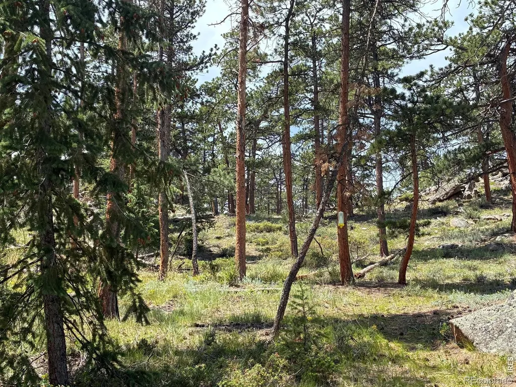 79 Alpine Lane Red Feather Lakes CO 80545