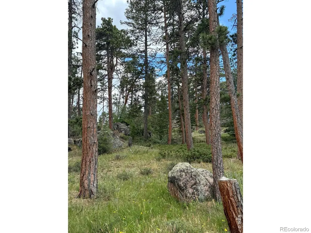 79 Alpine Lane Red Feather Lakes CO 80545
