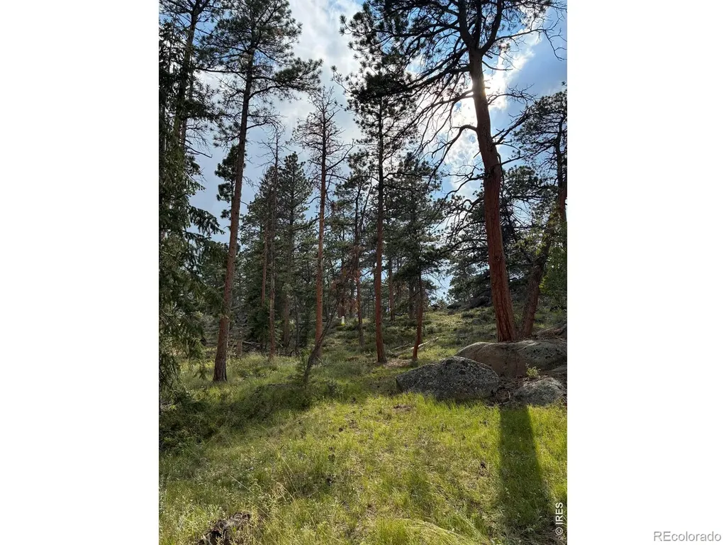 79 Alpine Lane Red Feather Lakes CO 80545