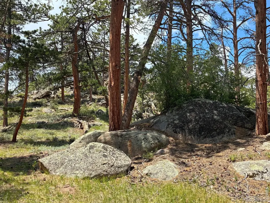 79 Alpine Lane Red Feather Lakes CO 80545