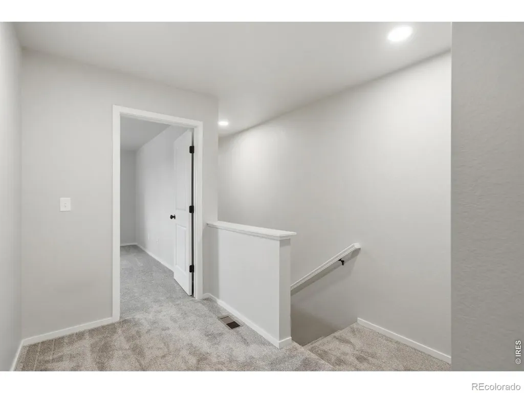 3642 Ronald Reagan Avenue Wellington CO 80549