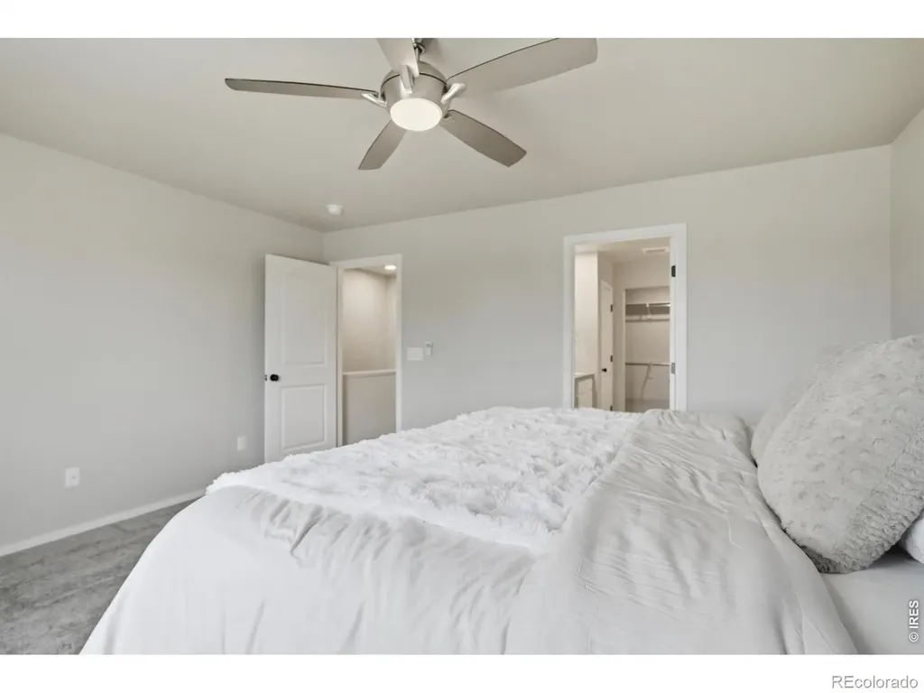 3642 Ronald Reagan Avenue Wellington CO 80549