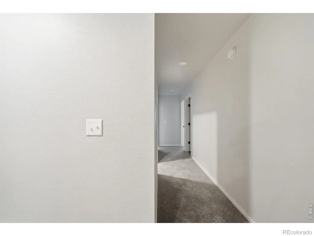 3642 Ronald Reagan Avenue Wellington CO 80549