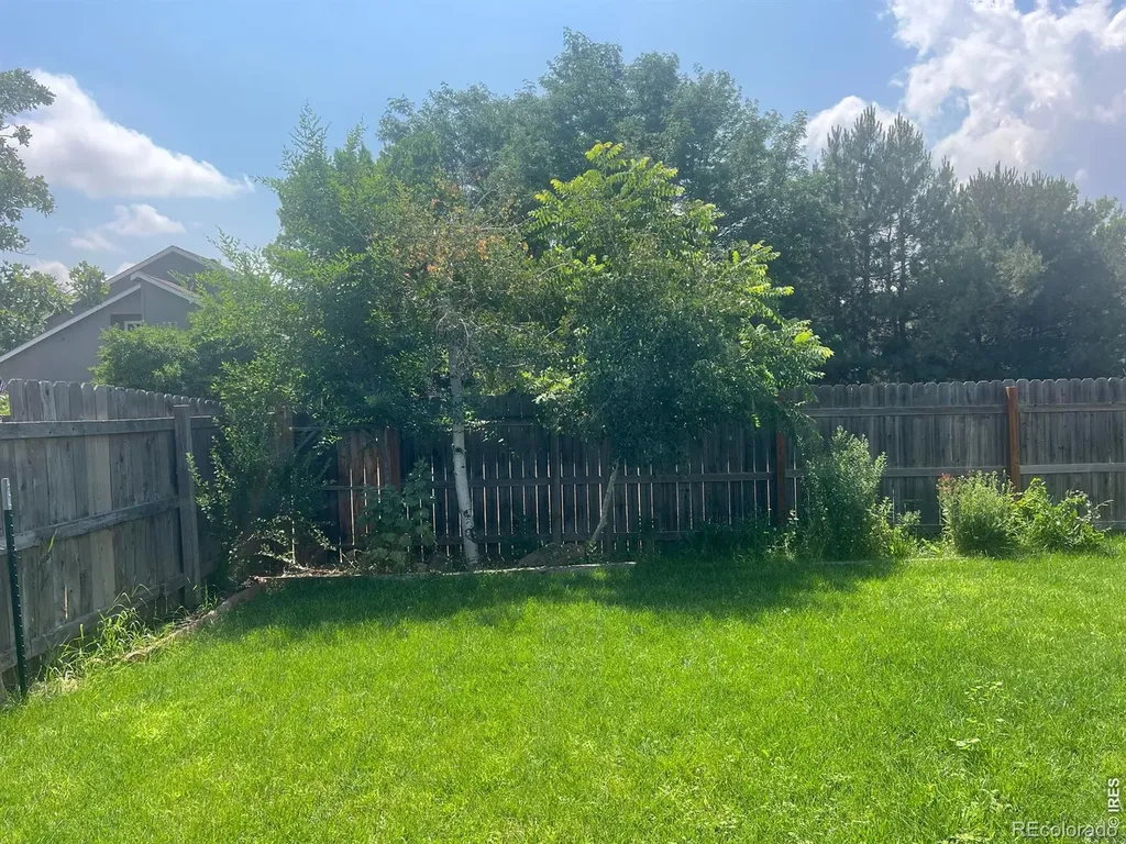 742 Lilac Drive Windsor CO 80550