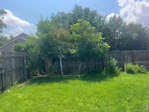 742 Lilac Drive Windsor CO 80550