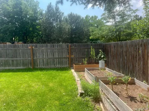 742 Lilac Drive Windsor CO 80550