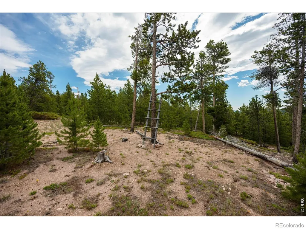 410 Pearl Creek Road Red Feather Lakes CO 80545