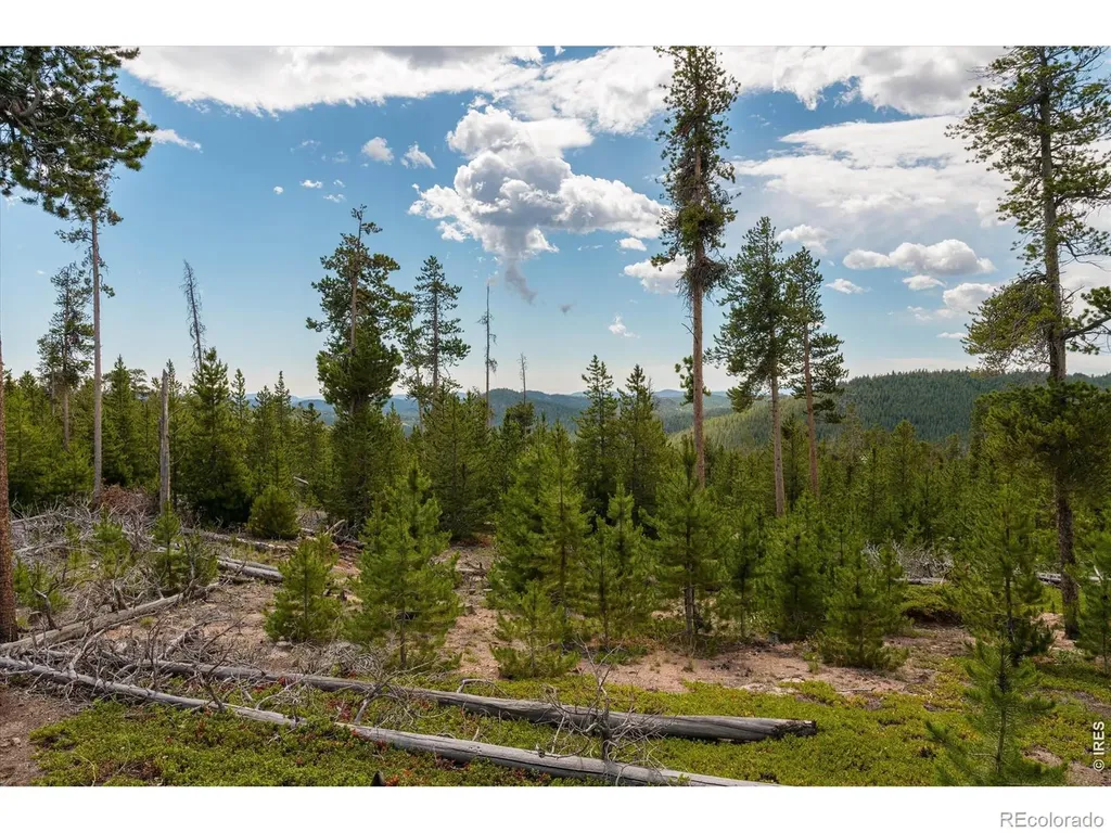 410 Pearl Creek Road Red Feather Lakes CO 80545