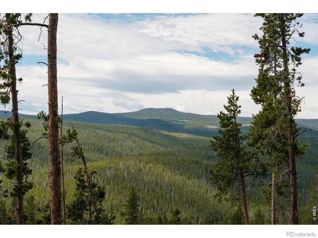 410 Pearl Creek Road Red Feather Lakes CO 80545