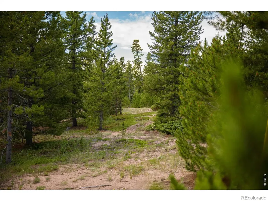 410 Pearl Creek Road Red Feather Lakes CO 80545