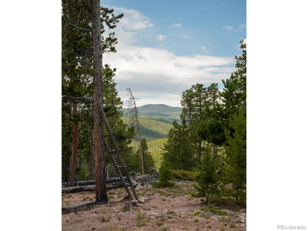 410 Pearl Creek Road Red Feather Lakes CO 80545