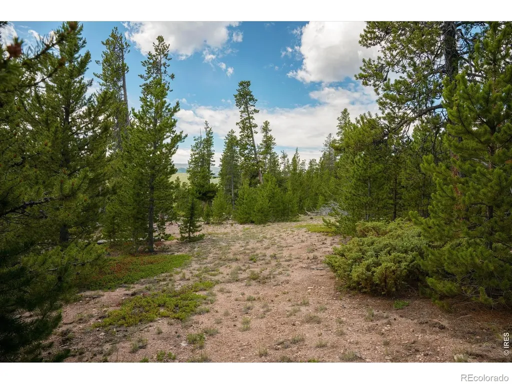 410 Pearl Creek Road Red Feather Lakes CO 80545