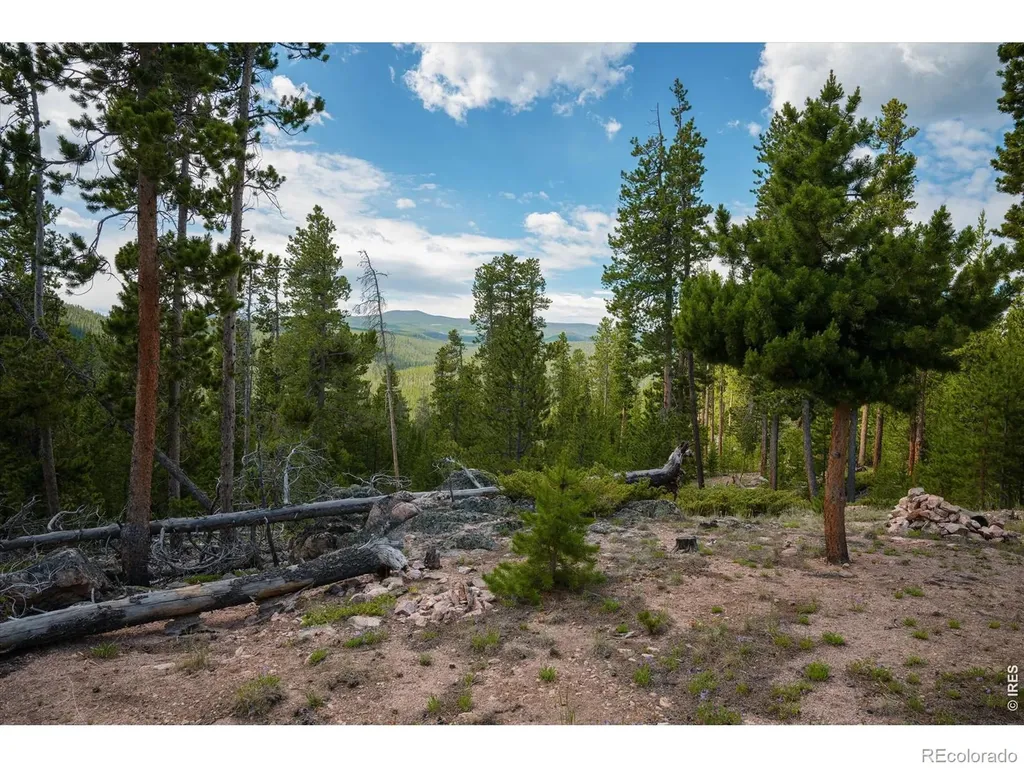 410 Pearl Creek Road Red Feather Lakes CO 80545