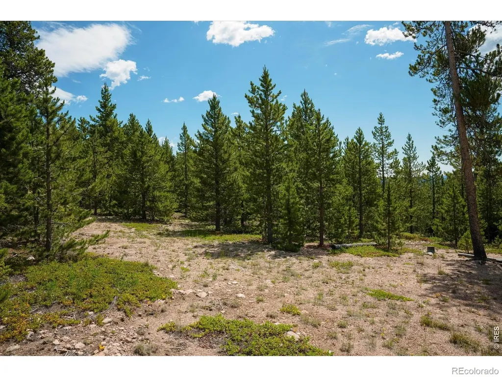 410 Pearl Creek Road Red Feather Lakes CO 80545