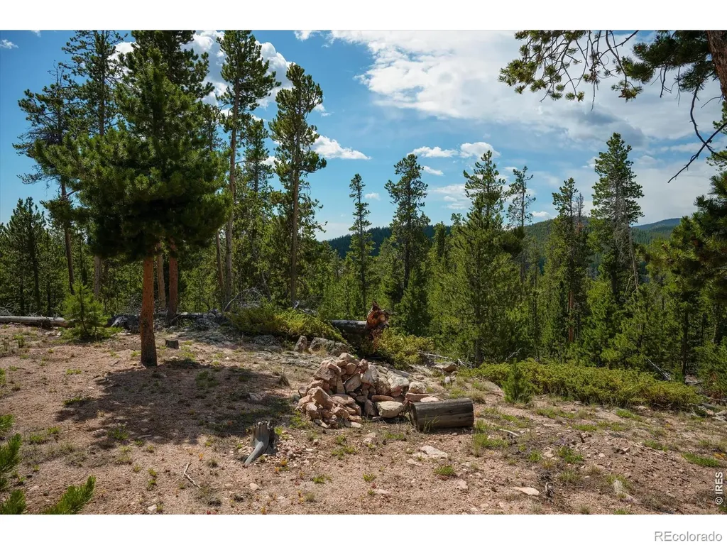 410 Pearl Creek Road Red Feather Lakes CO 80545