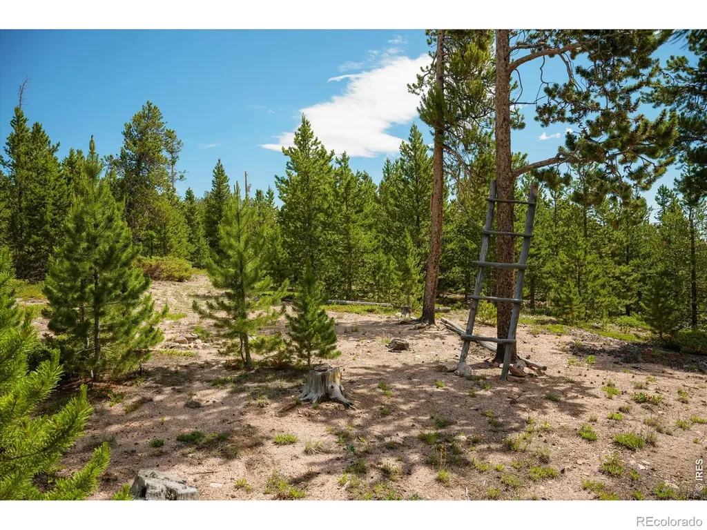 410 Pearl Creek Road Red Feather Lakes CO 80545