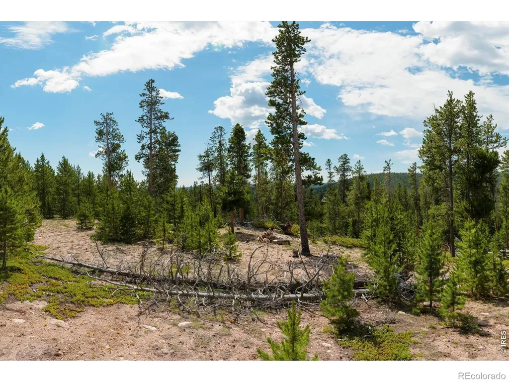 410 Pearl Creek Road Red Feather Lakes CO 80545
