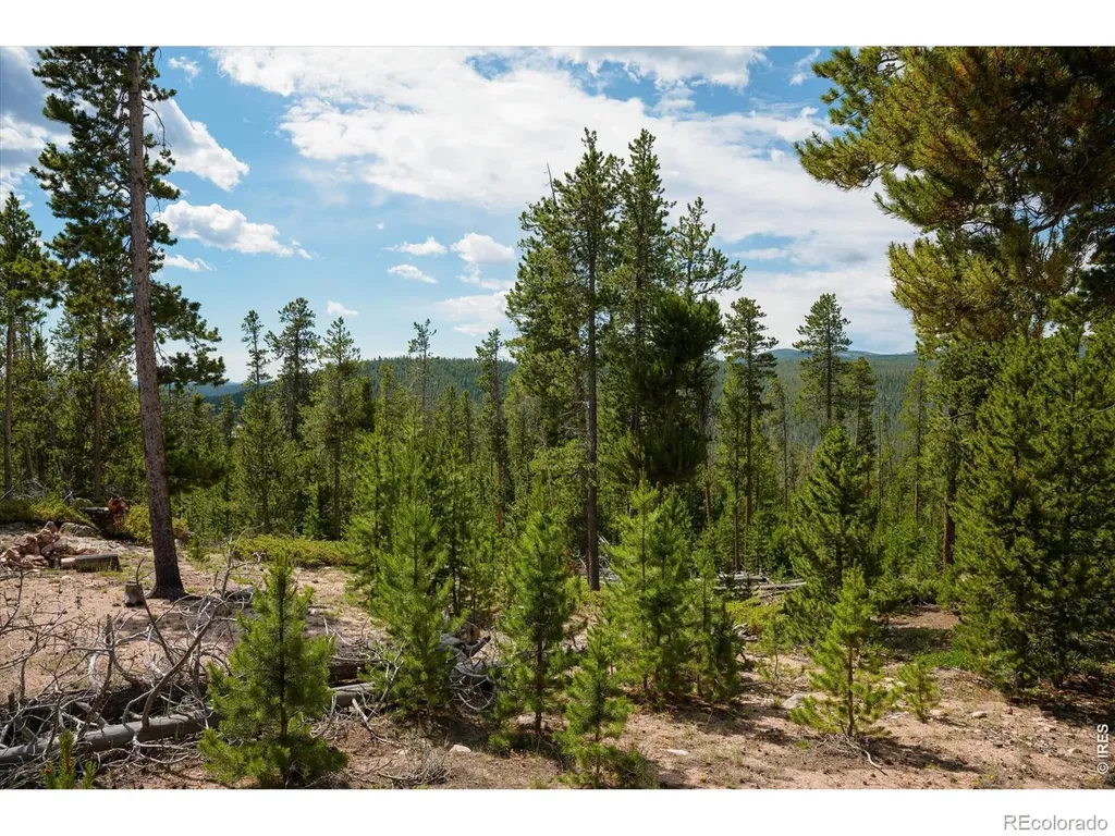 410 Pearl Creek Road Red Feather Lakes CO 80545