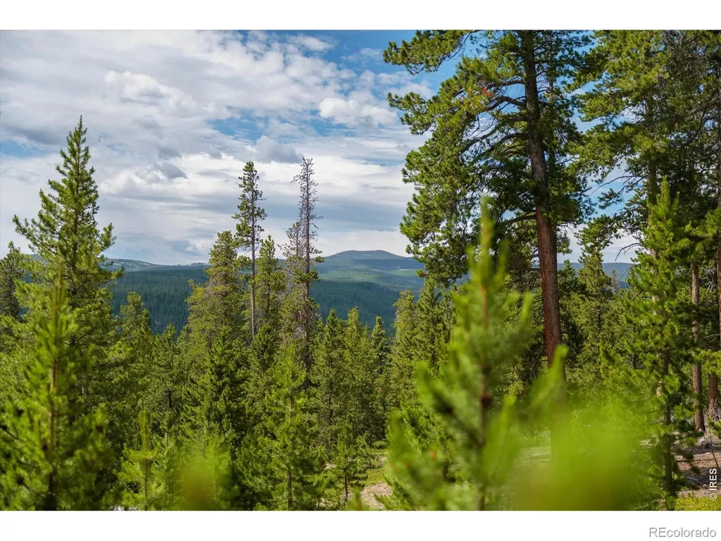 410 Pearl Creek Road Red Feather Lakes CO 80545