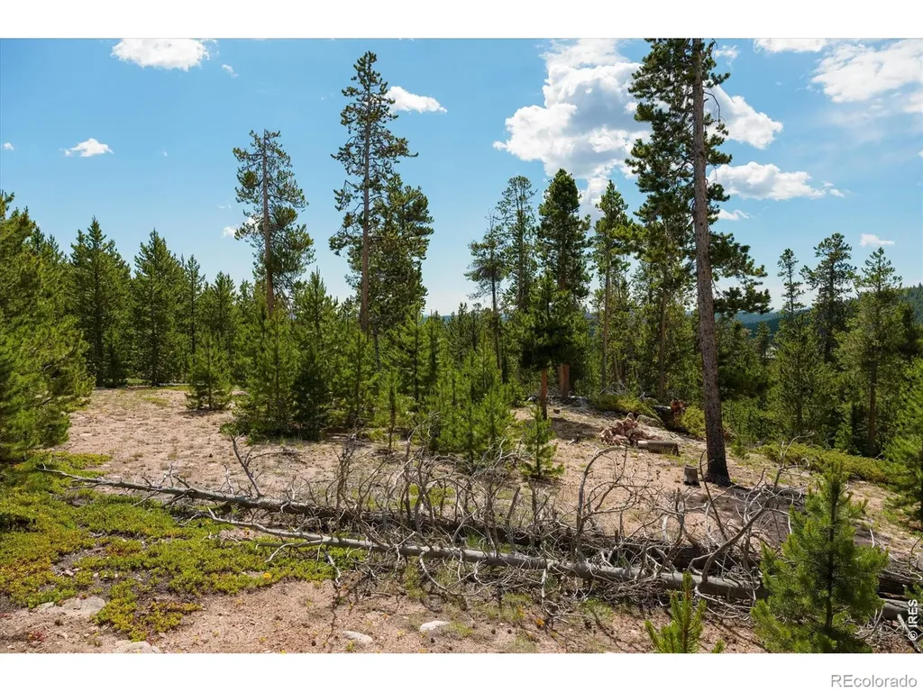 410 Pearl Creek Road Red Feather Lakes CO 80545