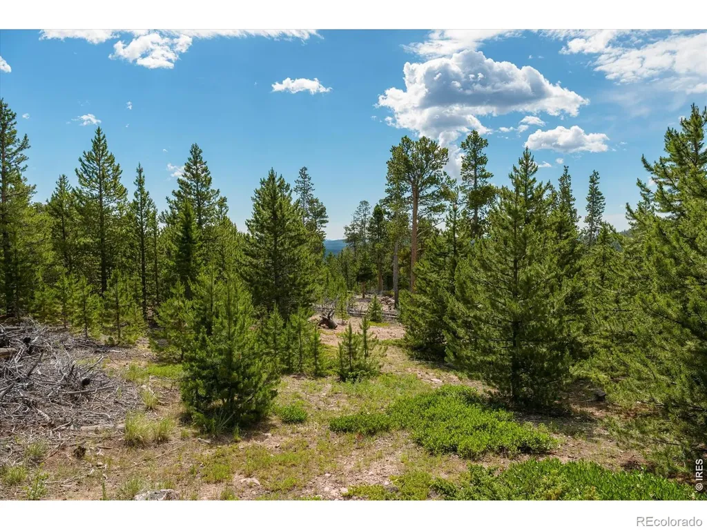 410 Pearl Creek Road Red Feather Lakes CO 80545