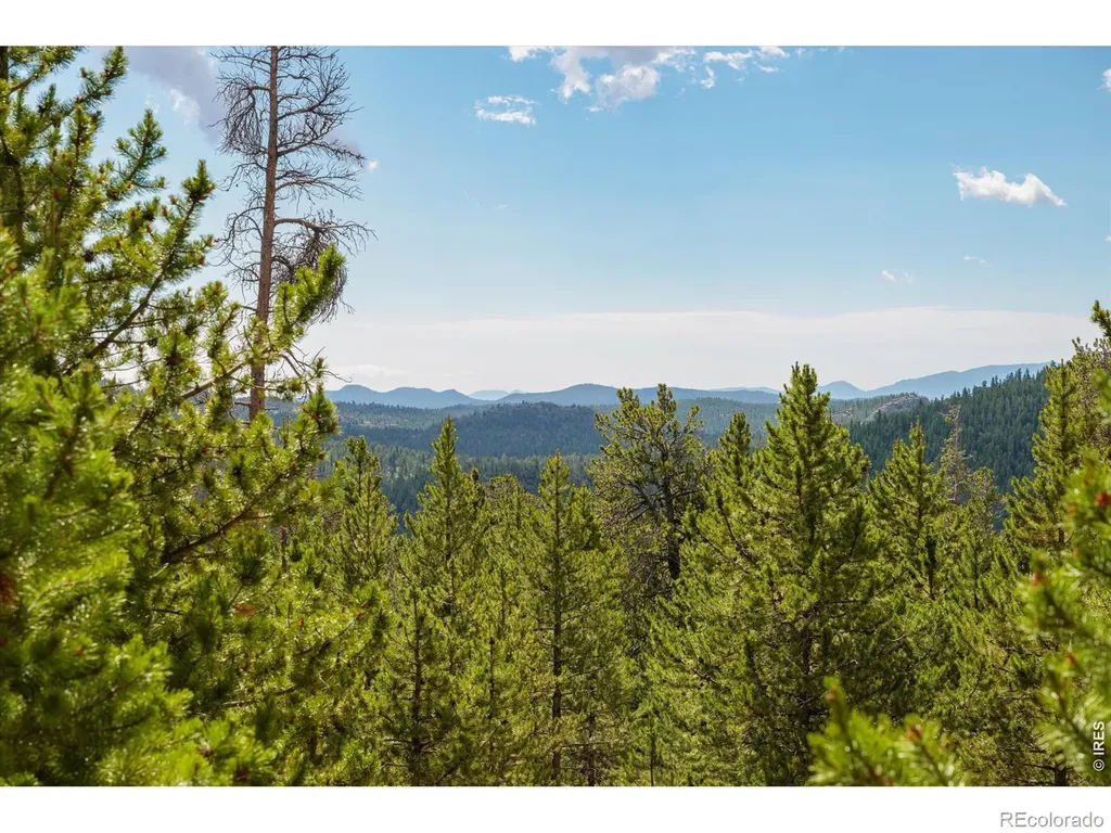 410 Pearl Creek Road Red Feather Lakes CO 80545