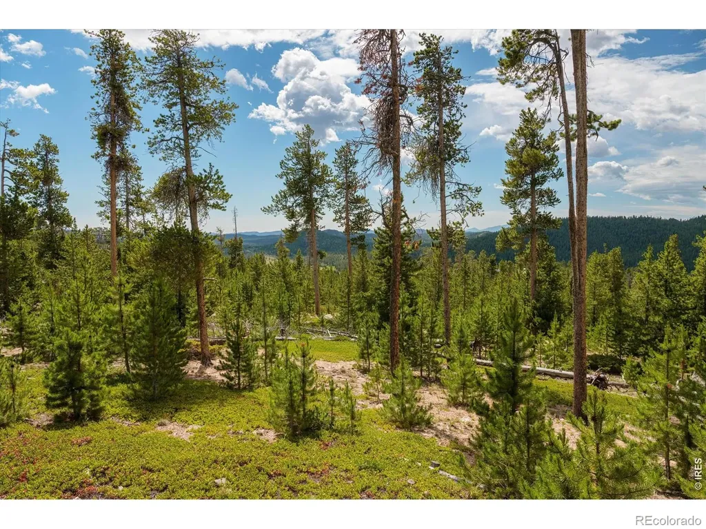 410 Pearl Creek Road Red Feather Lakes CO 80545