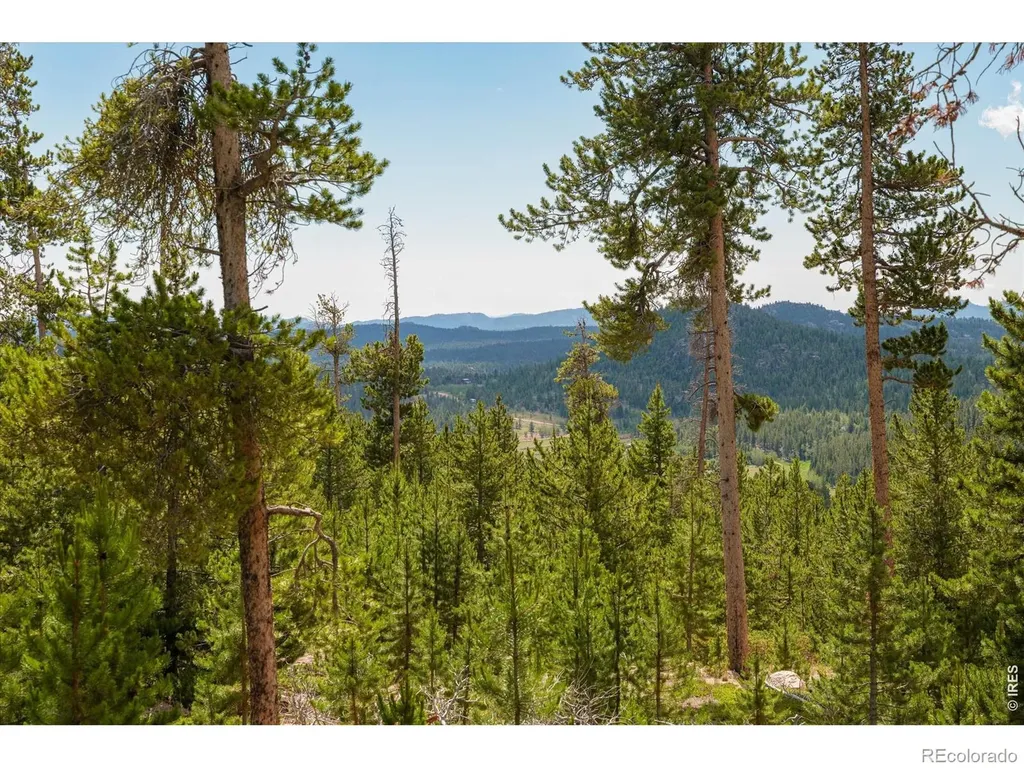 410 Pearl Creek Road Red Feather Lakes CO 80545