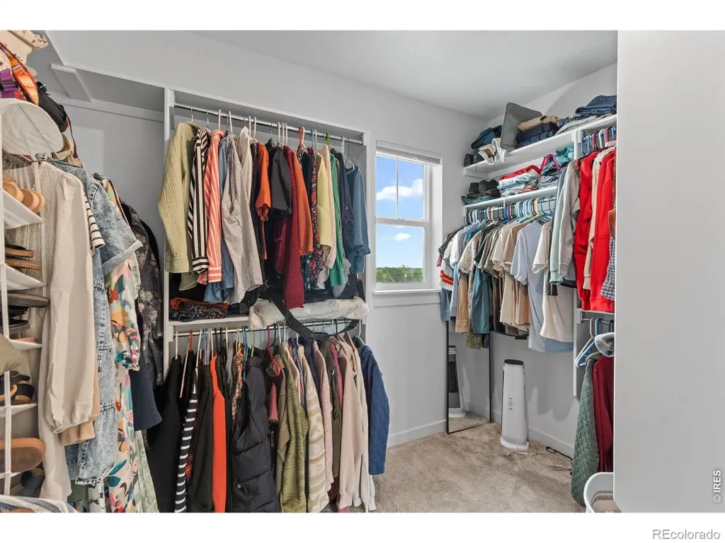 4204 Martinson Drive Loveland CO 80537