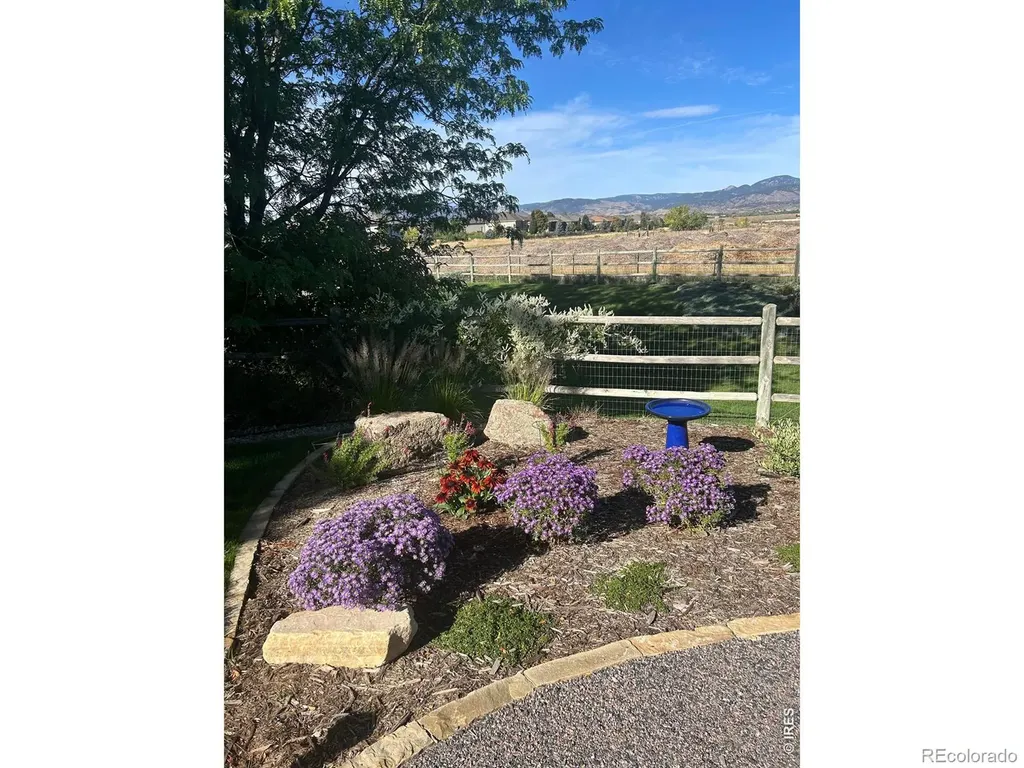 3156 Ivy Drive Loveland CO 80537