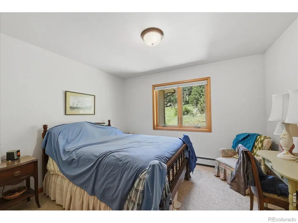 17311 W County Road 74e Red Feather Lakes CO 80545