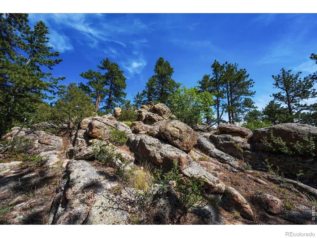 17311 W County Road 74e Red Feather Lakes CO 80545