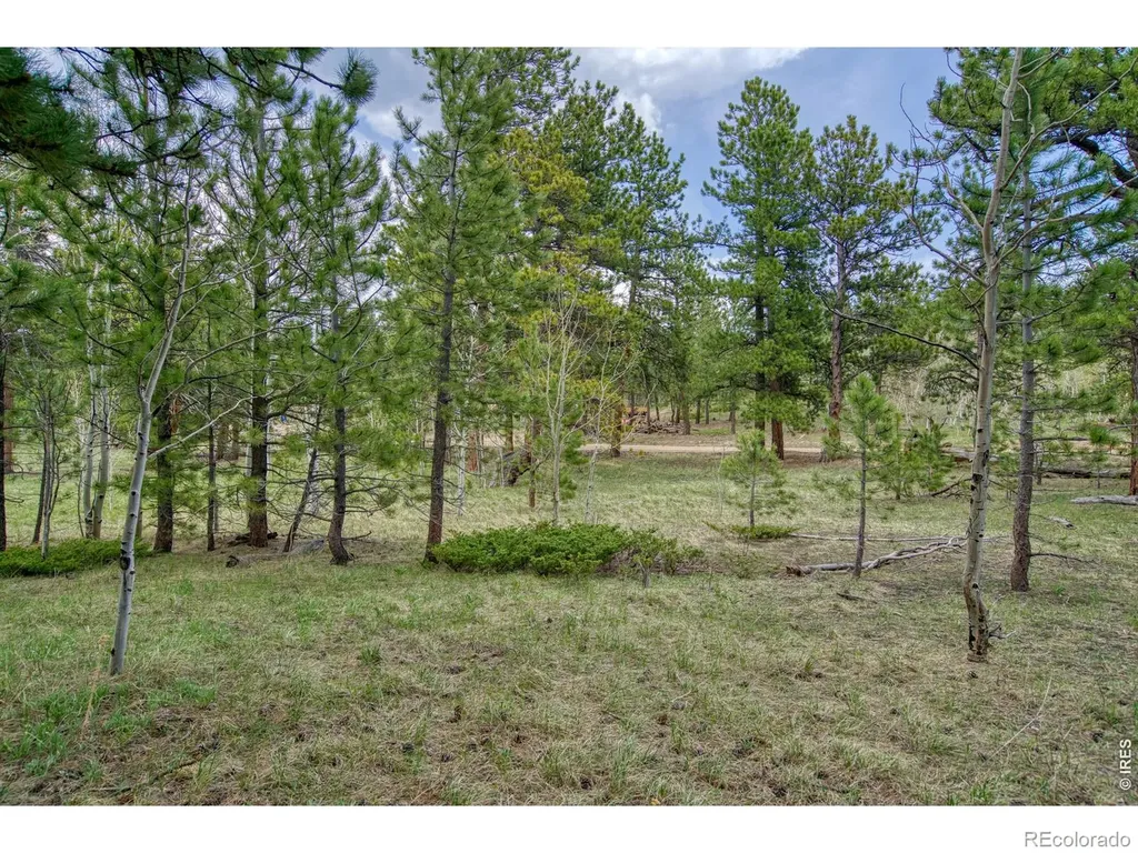 0 Sparn Way Jamestown CO 80302