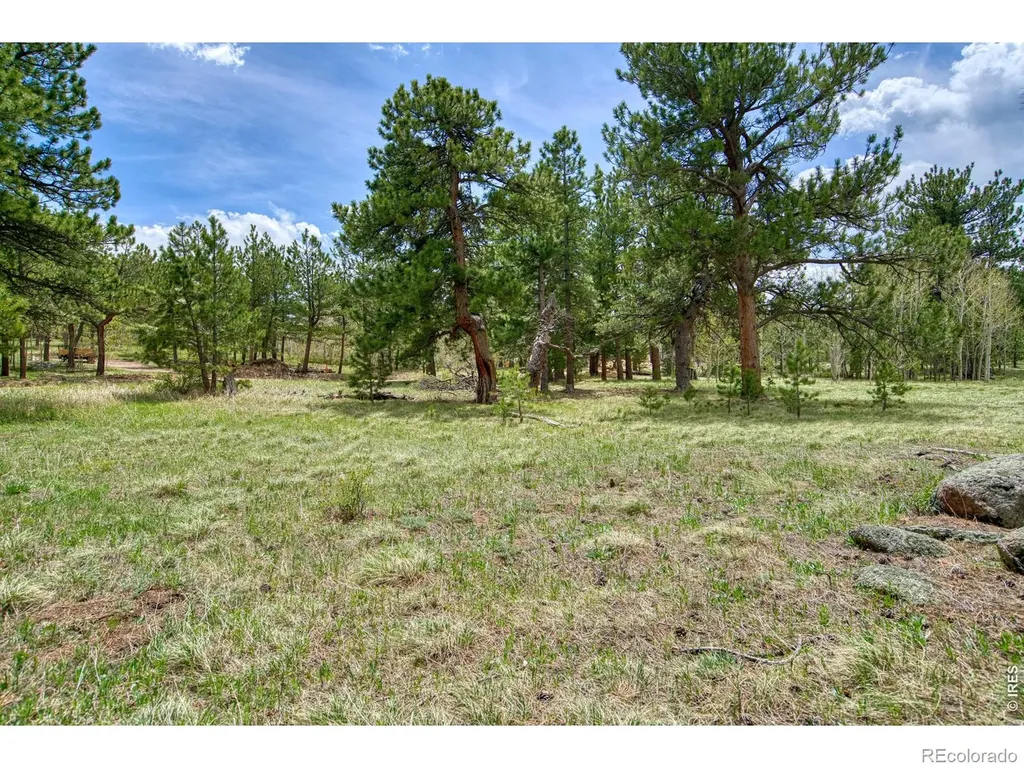 0 Sparn Way Jamestown CO 80302