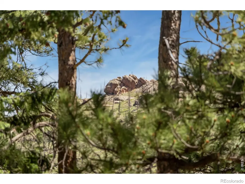 12592 Rist Canyon Road Bellvue CO 80512