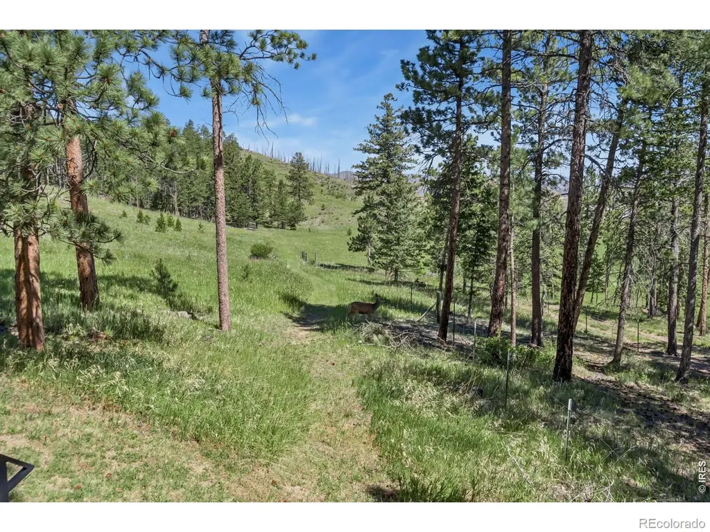 12592 Rist Canyon Road Bellvue CO 80512