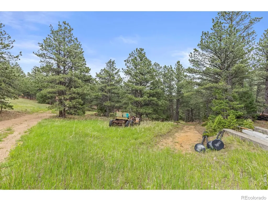 2692 Magnolia Drive Nederland CO 80466