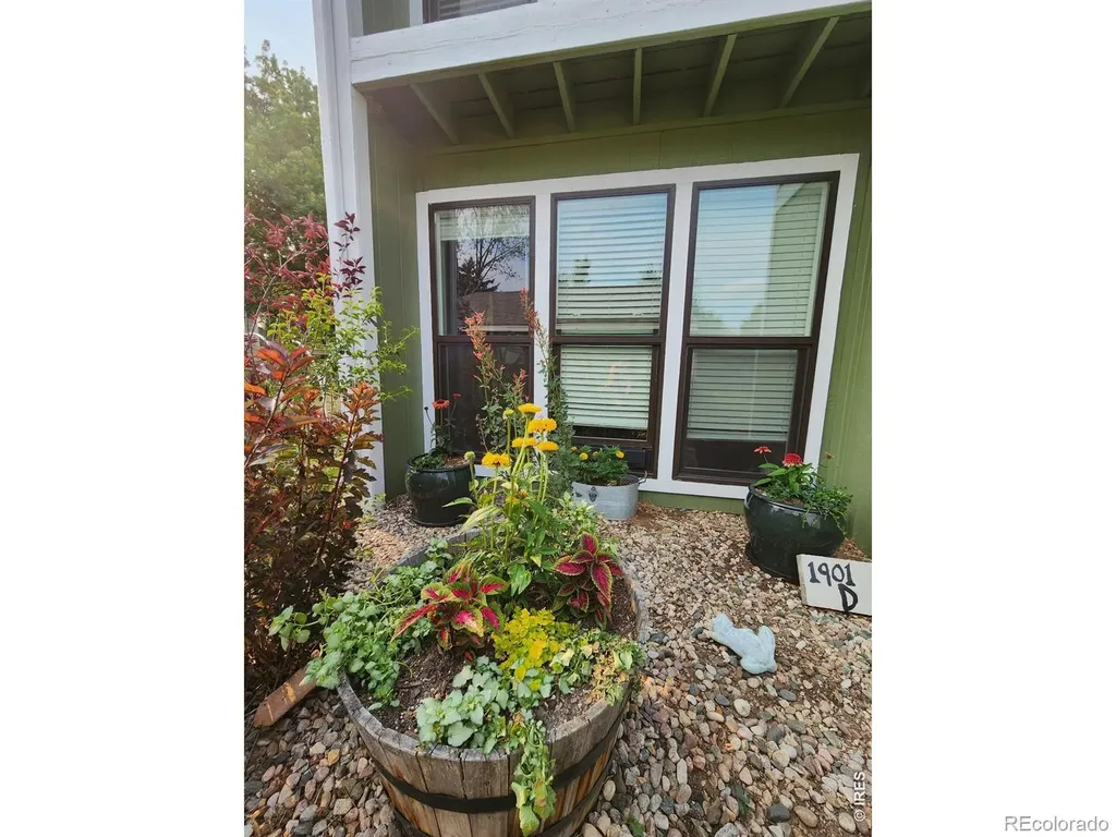 1901 Langshire Drive Fort Collins CO 80526